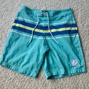 American Eagle Outfitters AE Men's Small Swim Trunks Board Shorts Blue Stripe